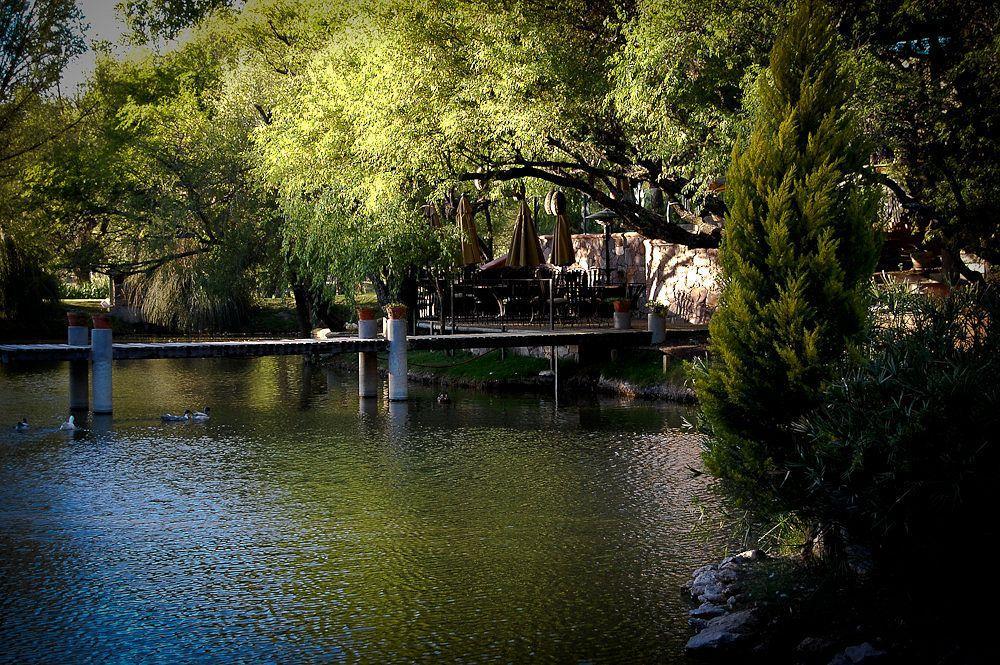 Casa De Aves San Miguel de Allende